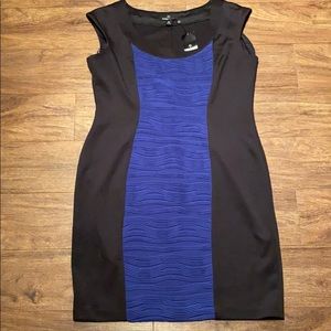 Black and Cobalt Color Block Sheath Dress